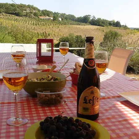 Vakantiehuis In De Lot - Frankrijk Montlauzun