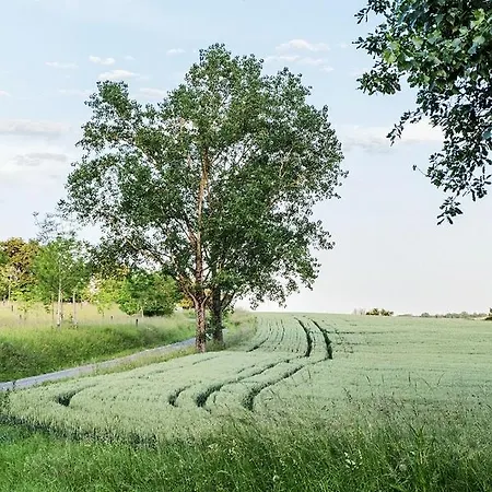 Vakantiehuis In De Lot - Frankrijk Montlauzun